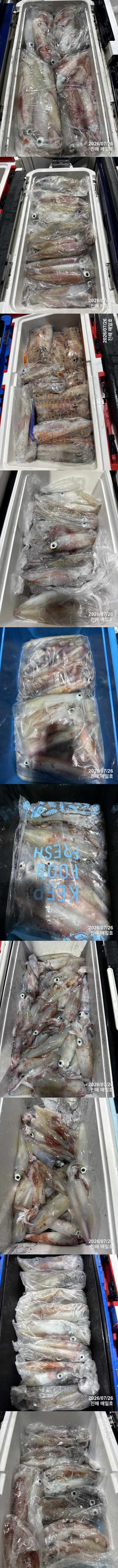 왕한치3.jpg