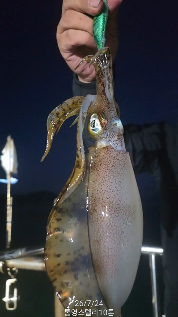 TimeVideo_20260724_201356.jpg