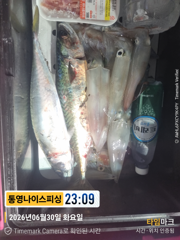 2026-06-30 23.09.45__(제목-통영나이스피싱).jpg