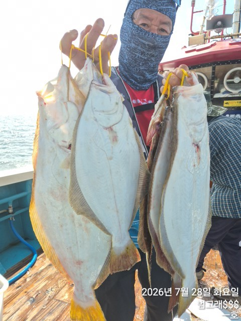 KakaoTalk_20260728_152344957_10.jpg