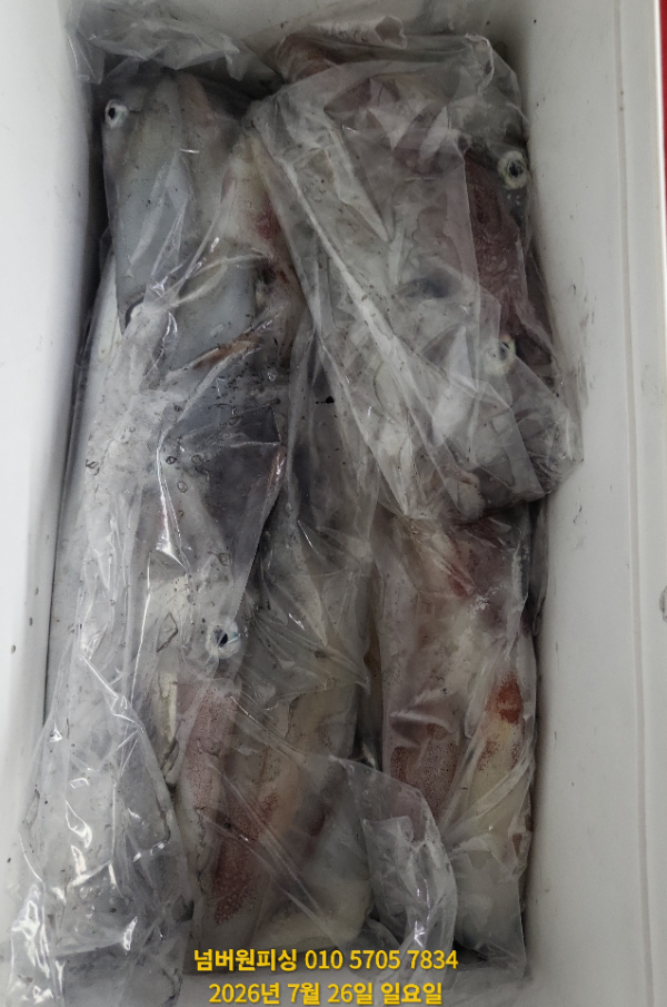 KakaoTalk_20260726_053746294.jpg