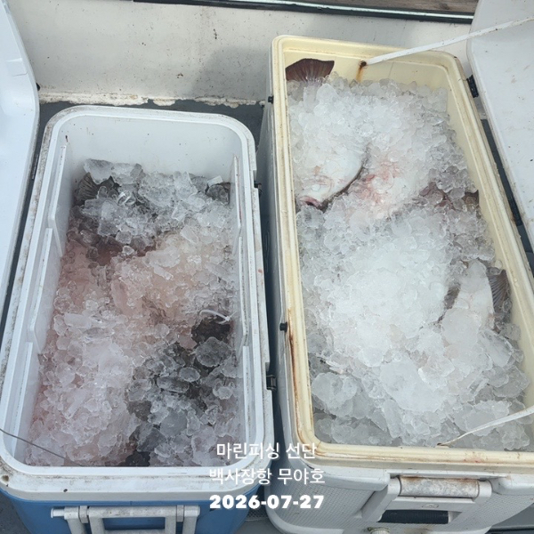 TC_01722.jpeg