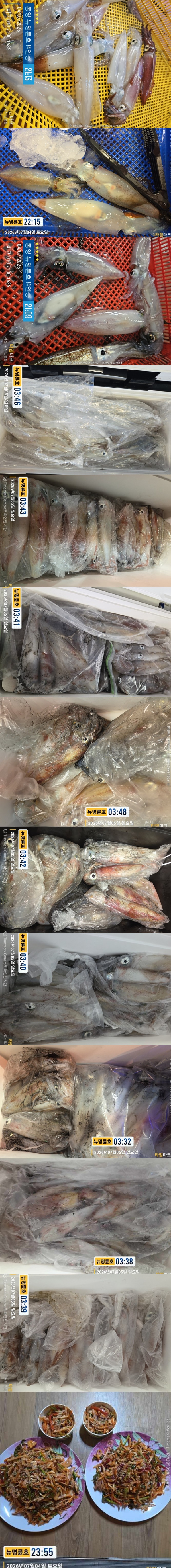 7-5한치2.jpg