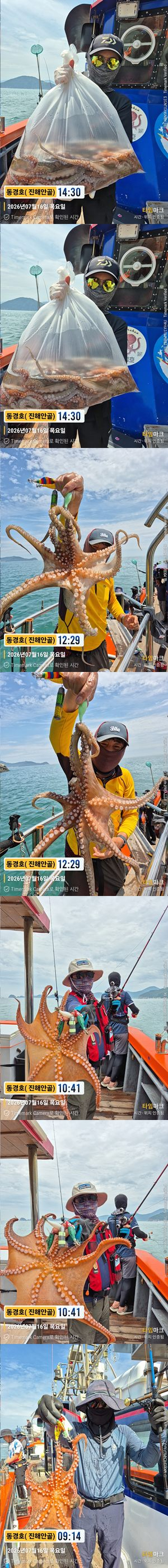 돌문어 26-7-16-2.jpg