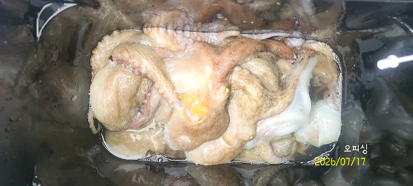 DateCamera0717140202.jpg