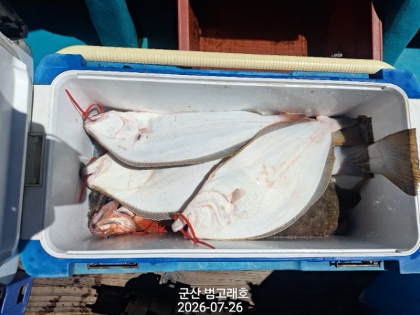 KakaoTalk_20260726_144651938_02.jpg