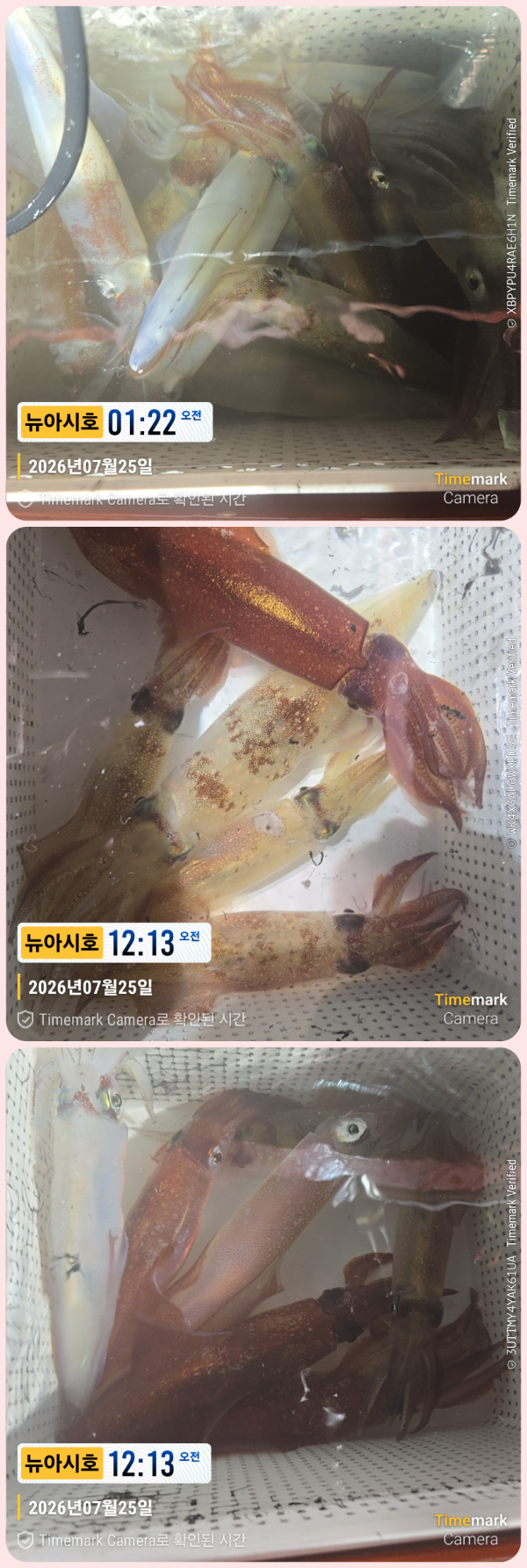 KakaoTalk_20260725_063337855_26-down.jpg