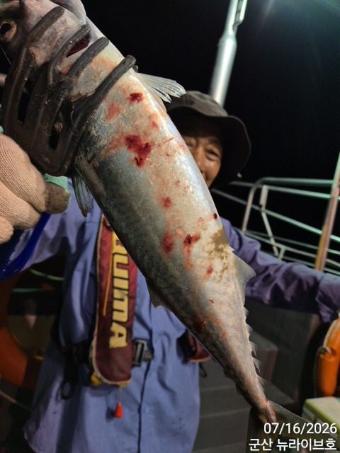 KakaoTalk_20260717_032840218_10.jpg