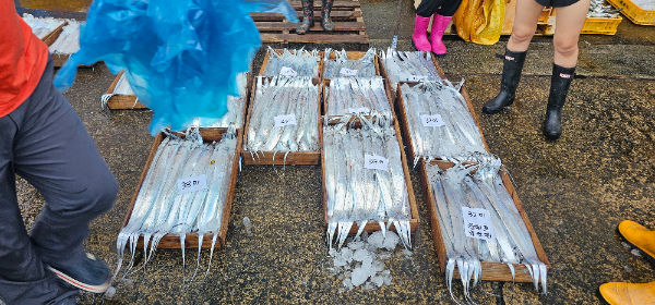 1000042535.jpg