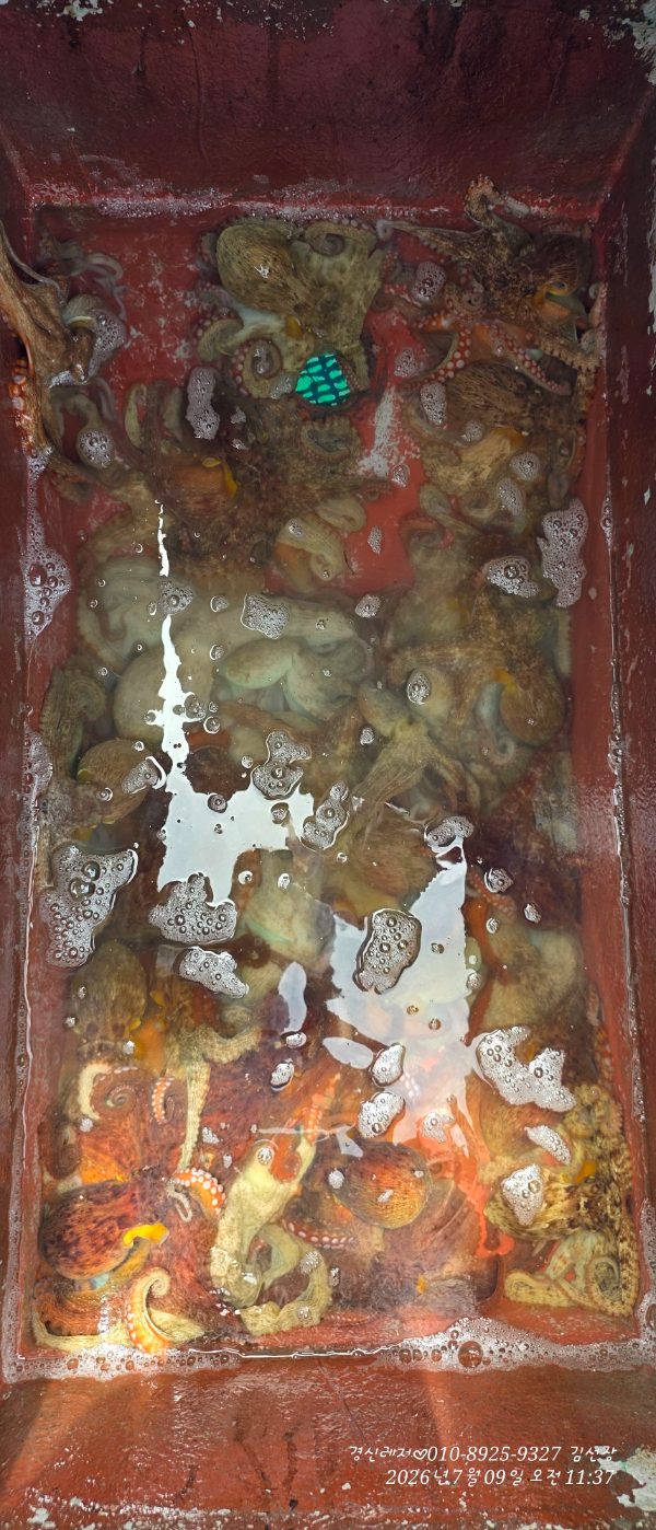 20260709_113751.jpg
