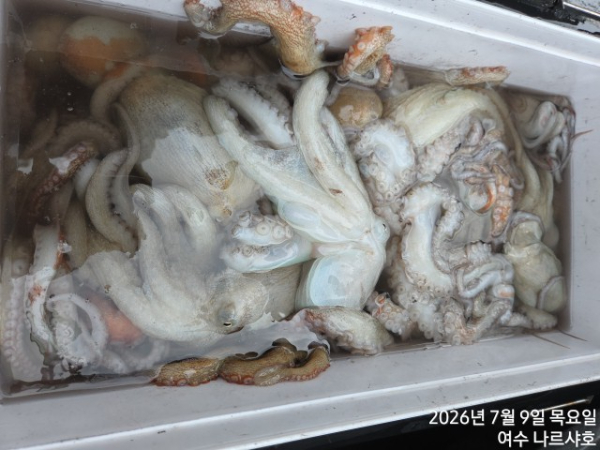 9524.jpg