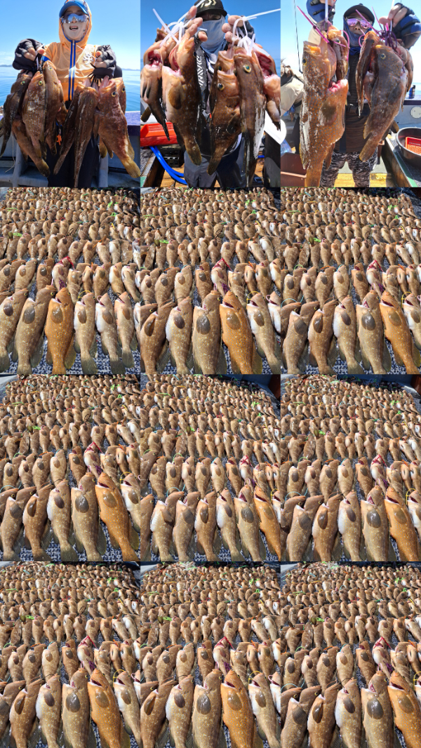 20260724_140152-tile.jpg