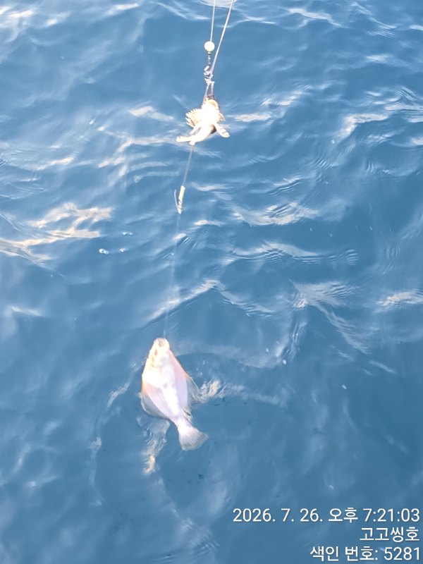 TimePhoto_20260726_192103.jpg