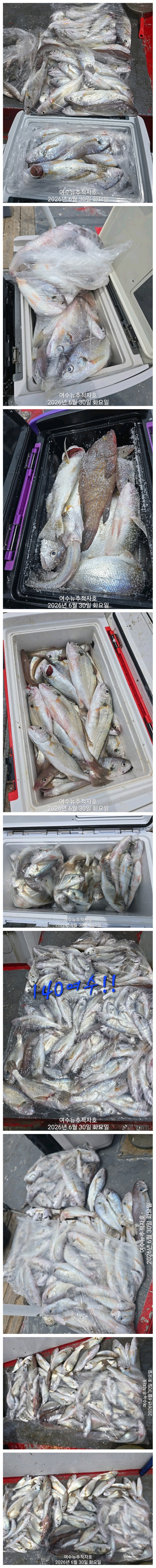 7848.jpg