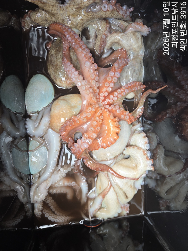 KakaoTalk_20260714_132917396_10.jpg