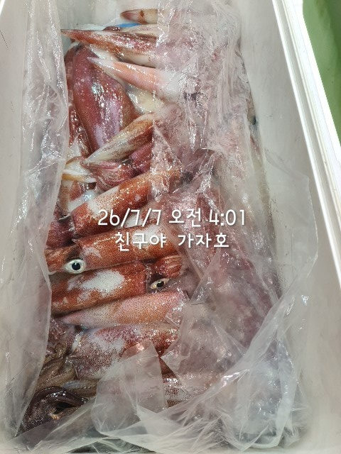 1000061194.jpg