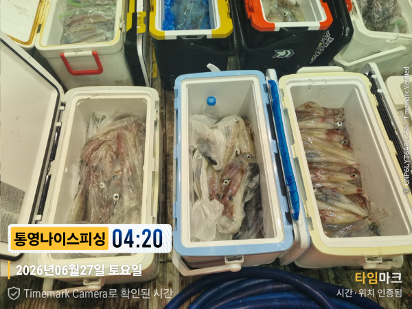 2026-06-27 04.20.43__(제목-통영나이스피싱).jpg