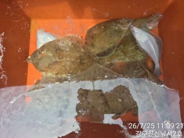 신신낚시 강구점 신신호_사진_20260725_1.jpg