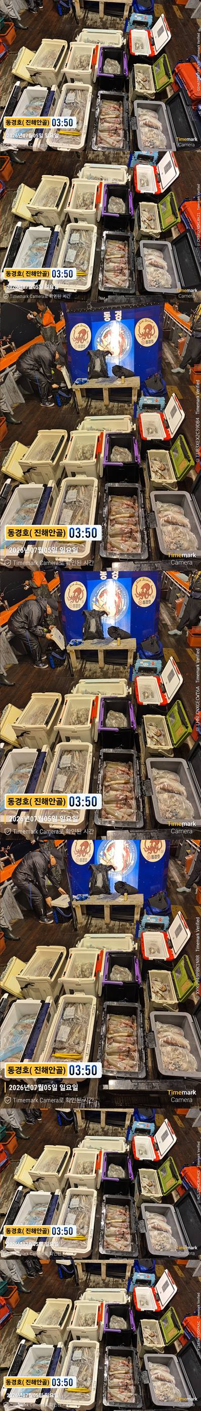 한치 26-7-4-1.jpg
