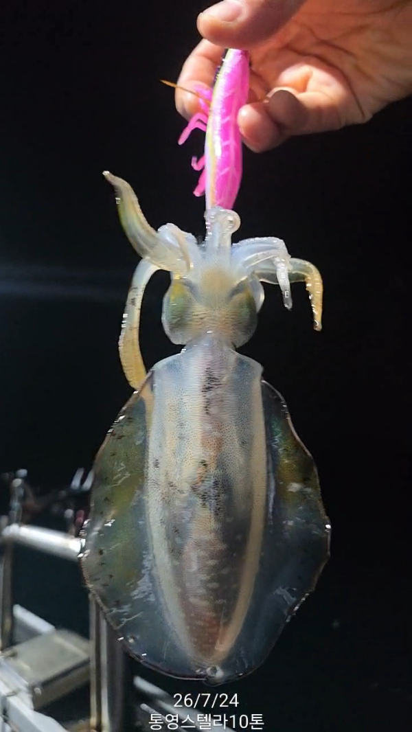TimeVideo_20260724_231819.jpg
