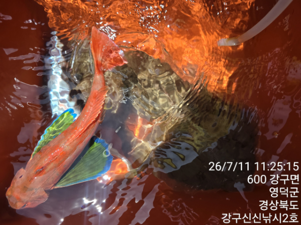 신신낚시 강구점 신신호_사진_20260711_11.jpg