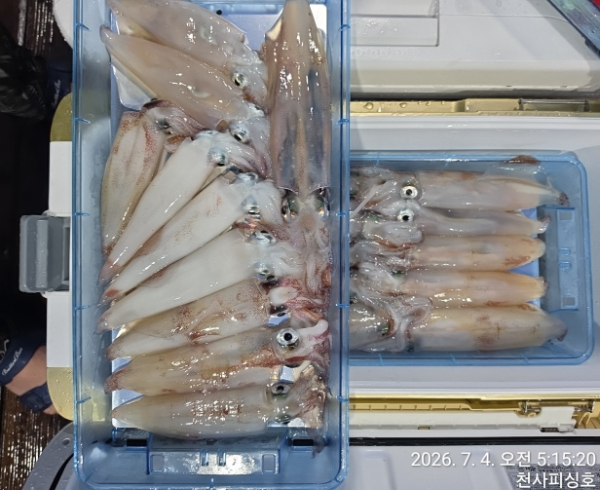 1004피싱_사진_20260704_2.jpg
