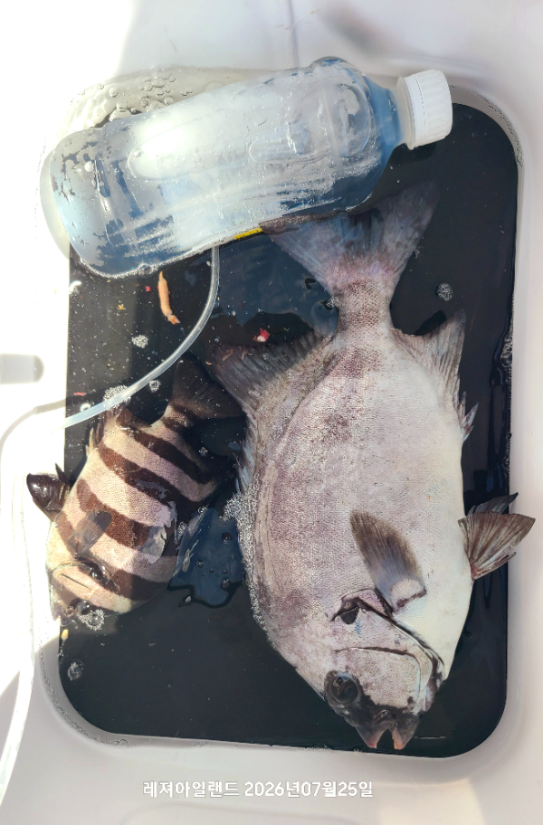 1000077694.jpg