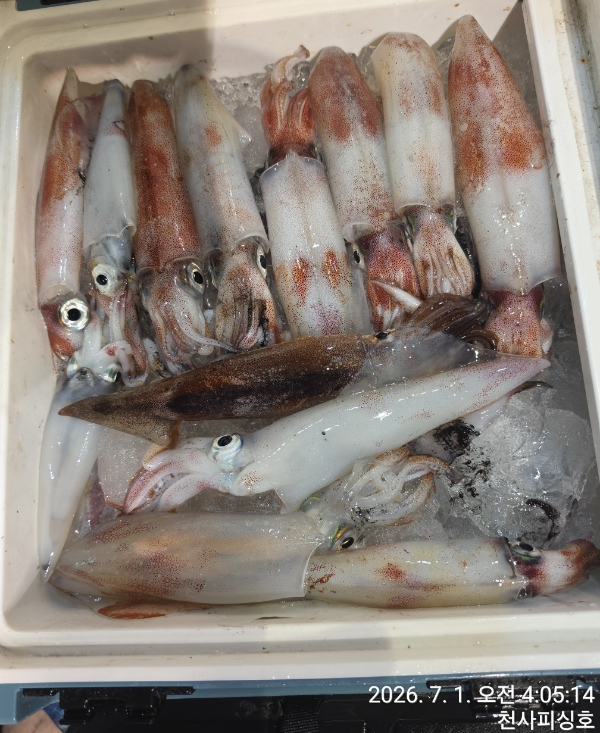 1004피싱_사진_20260701_9.jpg