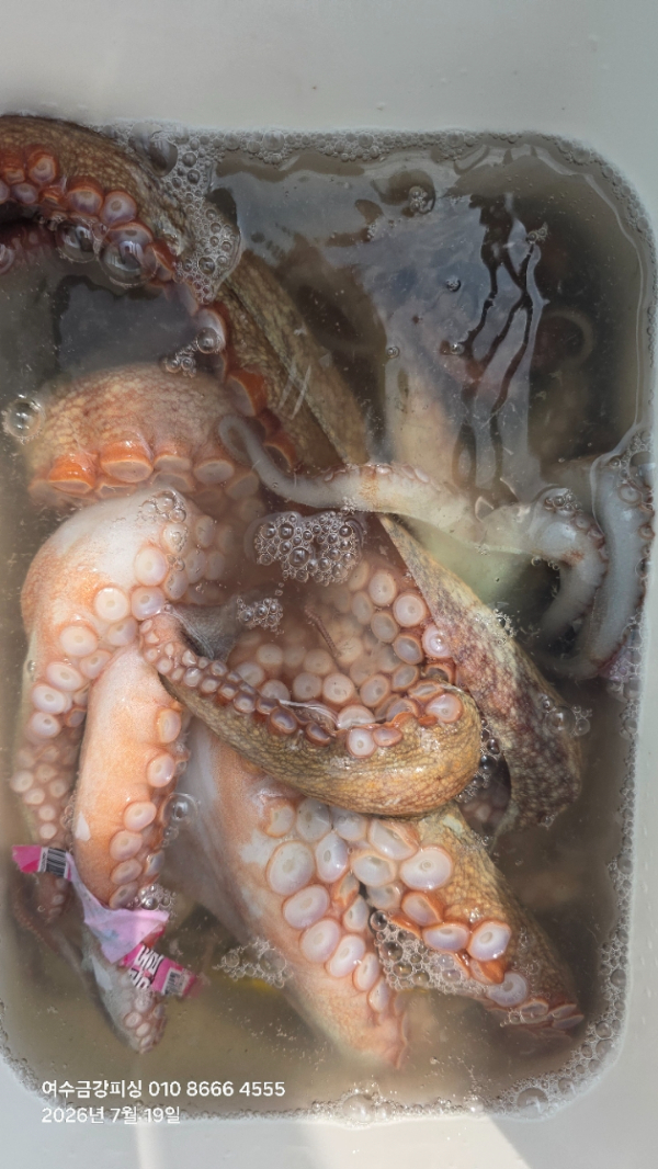 여수금강피싱_사진_20260719_11.jpg