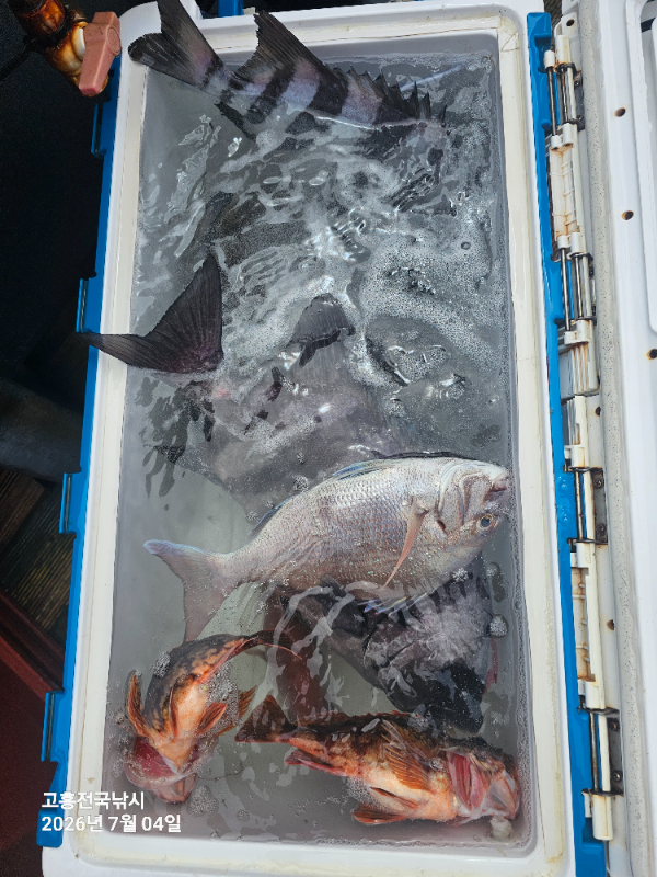 1000041477.jpg