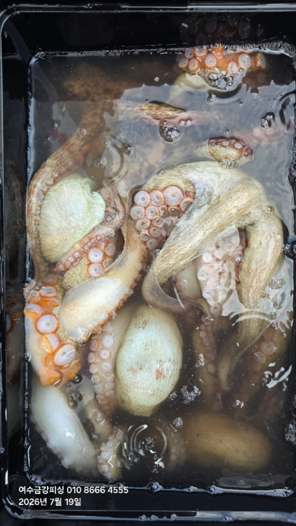 여수금강피싱_사진_20260719_13.jpg
