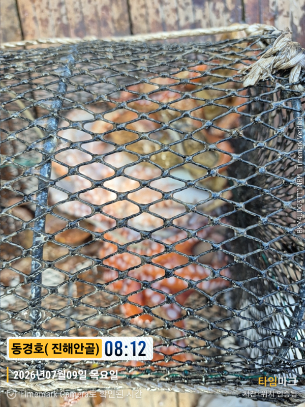 2026-07-09 08.12.29__(제목-동경호( 진해안골)).jpg