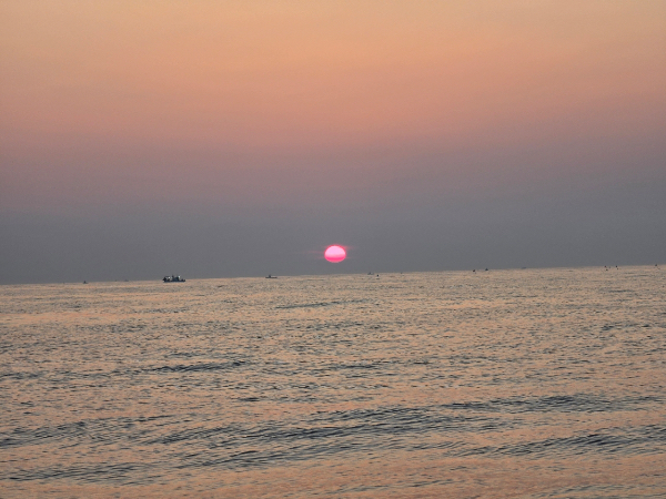 33B95033-0162-4276-A7C8-FC07788ED328.jpeg