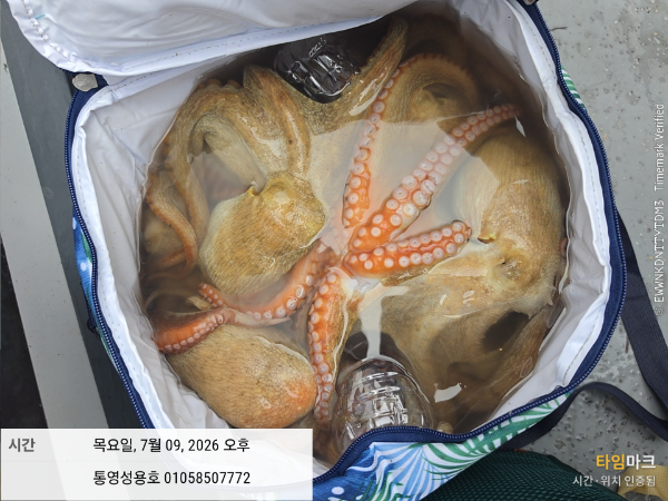 30786.jpg