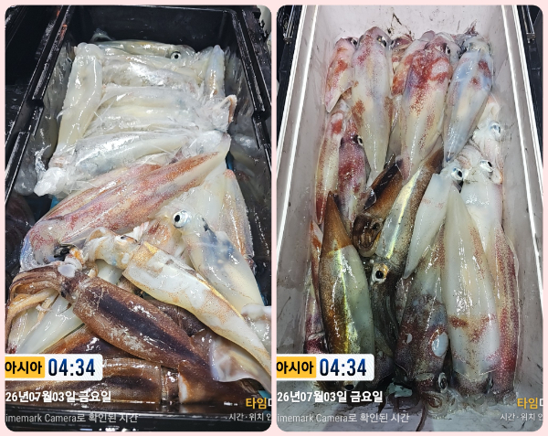 KakaoTalk_20260703_053930705_13-tile.jpg