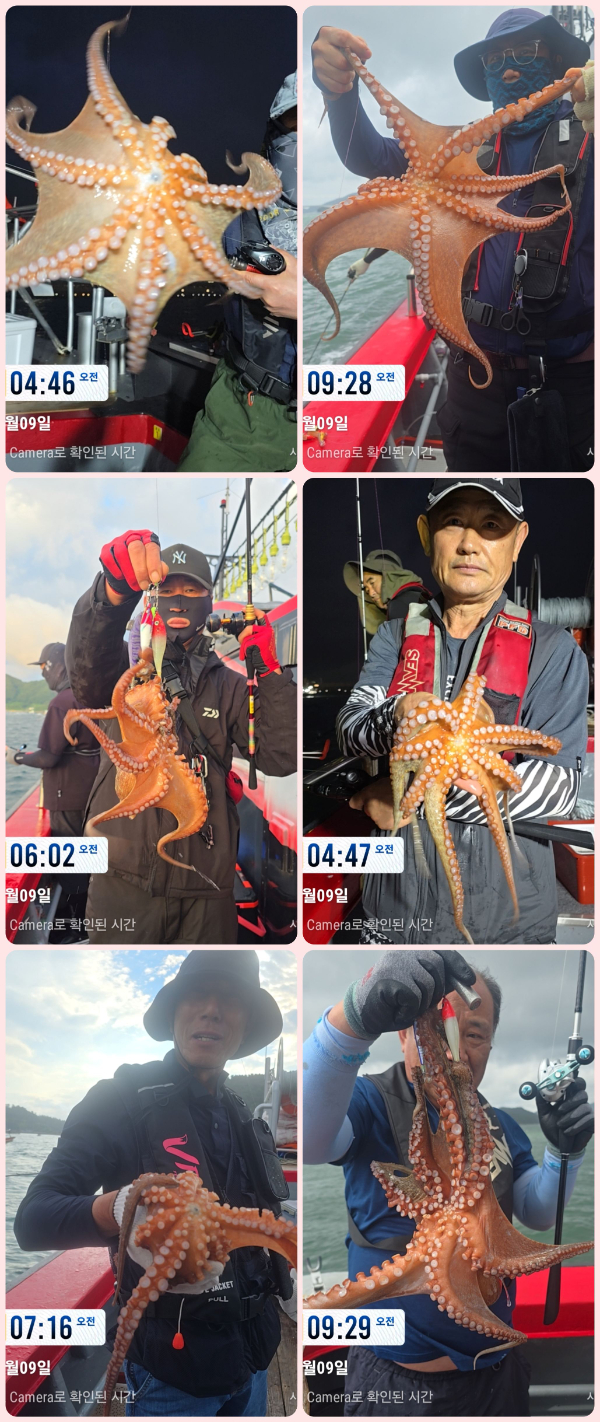 KakaoTalk_20260710_074104066_14-tile.jpg