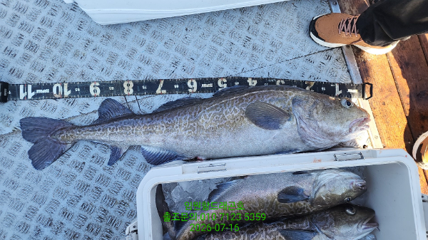 1000107593.jpg