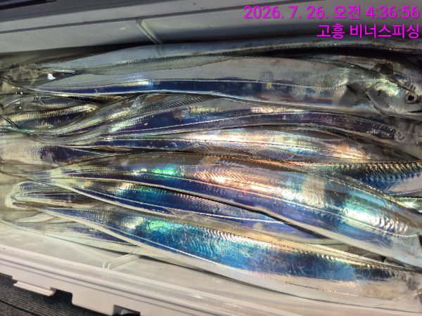 1000054345.jpg