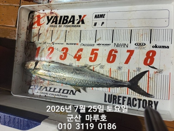 KakaoTalk_20260726_045538189_14.jpg