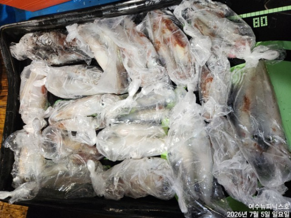 7월5일한치 (47).jpg