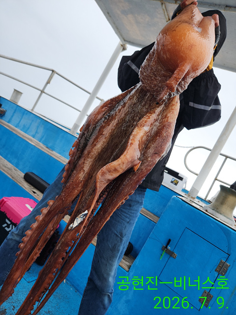 Resized_IMG_20260709_111313.jpg