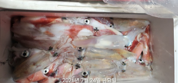 1784844709739(1)(1).jpg