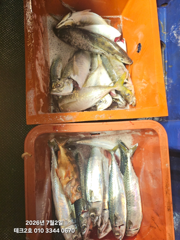 KakaoTalk_20260703_070729040_03.jpg