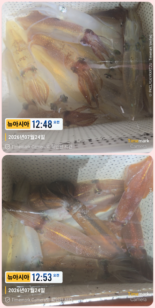 KakaoTalk_20260724_044525737_02-down.jpg