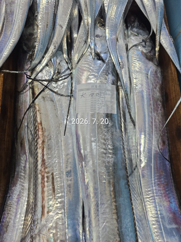 3A400448-08CE-404F-902C-B0CB8C601E10.jpeg