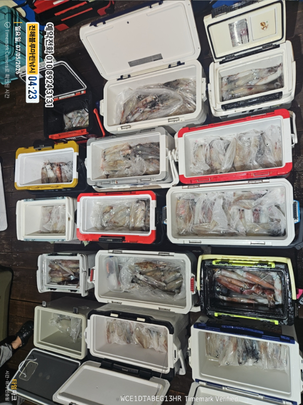 2026-07-05 04.23.09__(제목-진해블루마린낚시)_(예약전화 010 8924 3131).jpg
