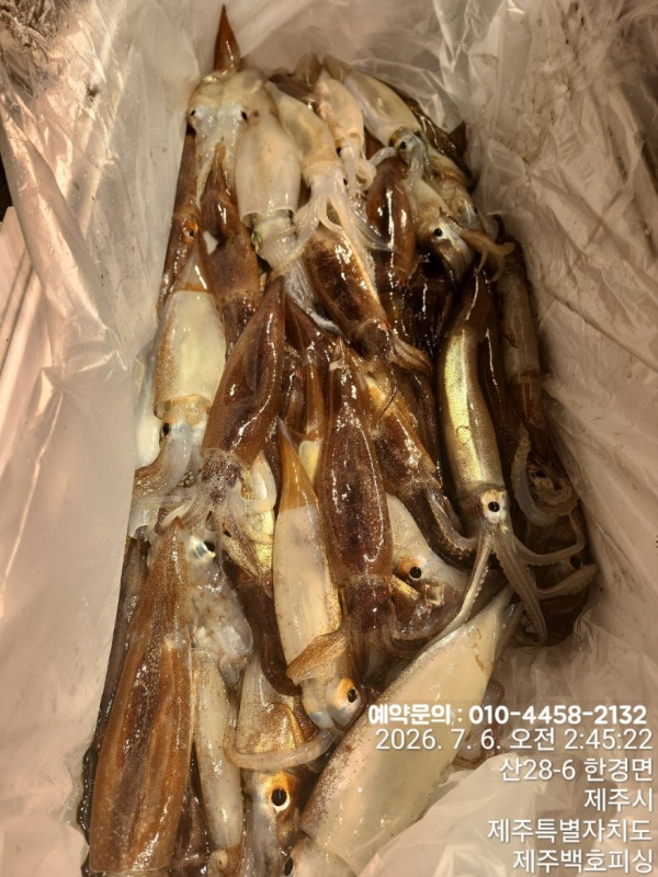 제주왔어호_사진_20260706_9.jpg