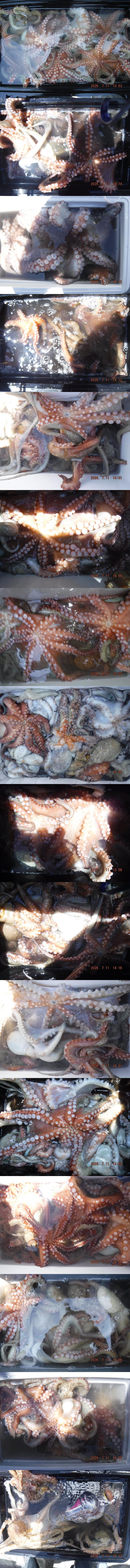 출조1609.jpg