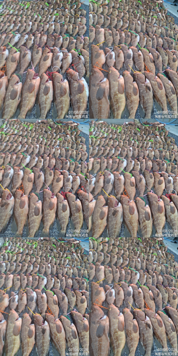 TimePhoto_20260708_153434-tile.jpg