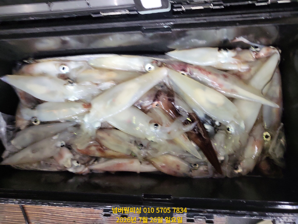 KakaoTalk_20260726_053746294_07.jpg